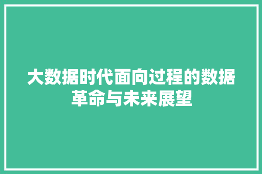 大数据时代面向过程的数据革命与未来展望