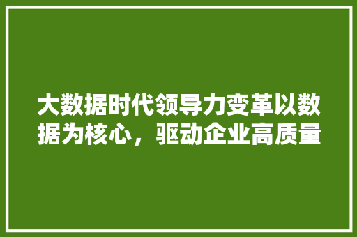 大数据时代领导力变革以数据为核心，驱动企业高质量发展
