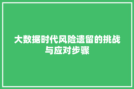 大数据时代风险遗留的挑战与应对步骤