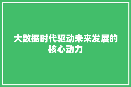 大数据时代驱动未来发展的核心动力  第1张