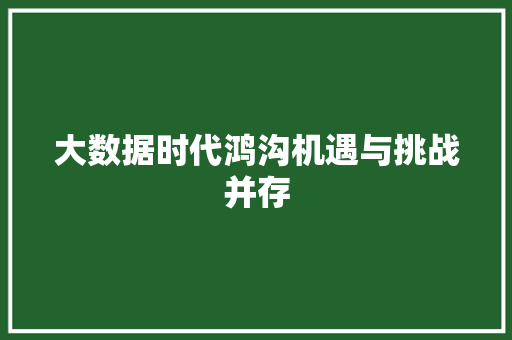 大数据时代鸿沟机遇与挑战并存  第1张