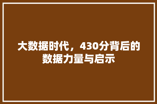 大数据时代，430分背后的数据力量与启示  第1张