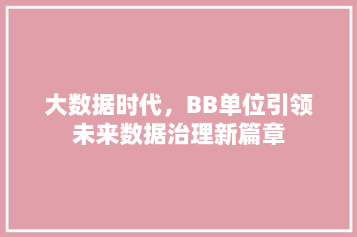 大数据时代，BB单位引领未来数据治理新篇章