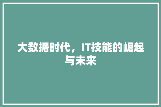 大数据时代，IT技能的崛起与未来