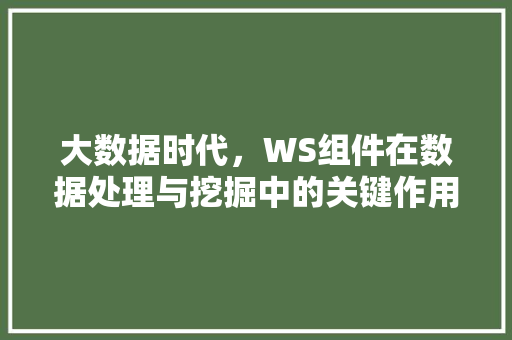 大数据时代，WS组件在数据处理与挖掘中的关键作用  第1张