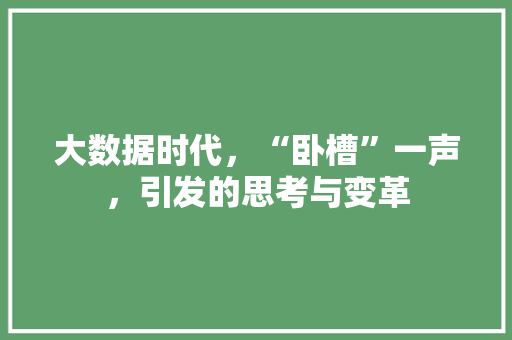 大数据时代，“卧槽”一声，引发的思考与变革