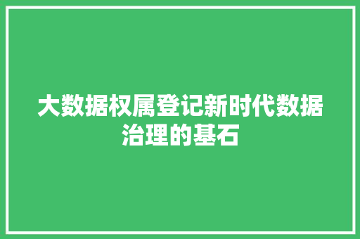 大数据权属登记新时代数据治理的基石  第1张