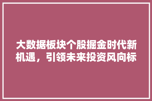 大数据板块个股掘金时代新机遇，引领未来投资风向标