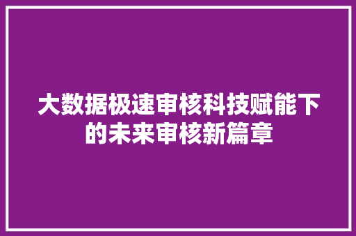 大数据极速审核科技赋能下的未来审核新篇章
