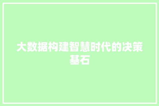 大数据构建智慧时代的决策基石