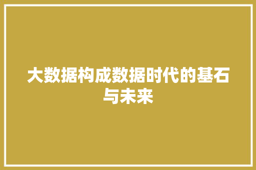 大数据构成数据时代的基石与未来  第1张