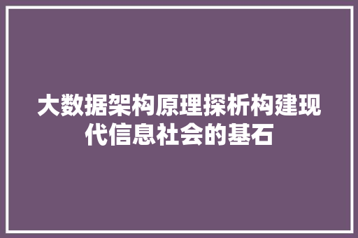 大数据架构原理探析构建现代信息社会的基石  第1张