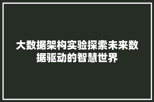 大数据架构实验探索未来数据驱动的智慧世界
