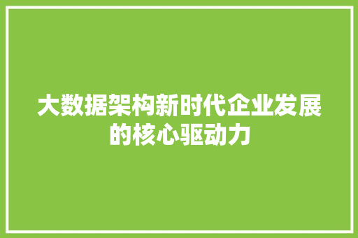 大数据架构新时代企业发展的核心驱动力  第1张