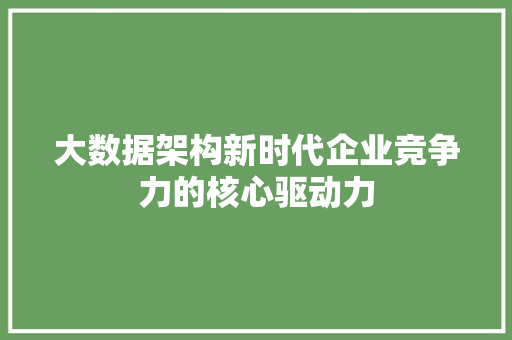 大数据架构新时代企业竞争力的核心驱动力  第1张