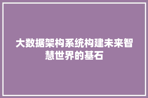 大数据架构系统构建未来智慧世界的基石