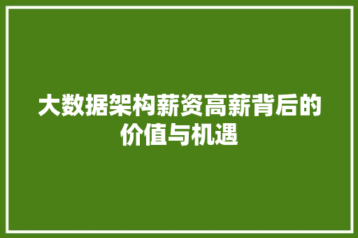 大数据架构薪资高薪背后的价值与机遇  第1张