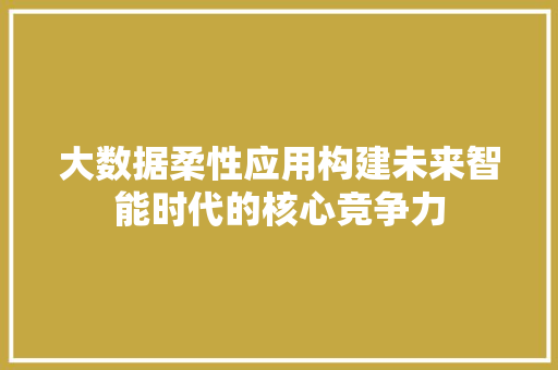 大数据柔性应用构建未来智能时代的核心竞争力