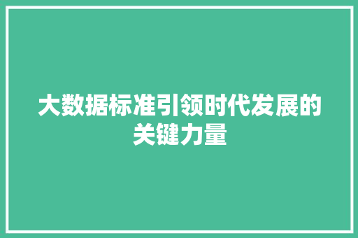 大数据标准引领时代发展的关键力量  第1张