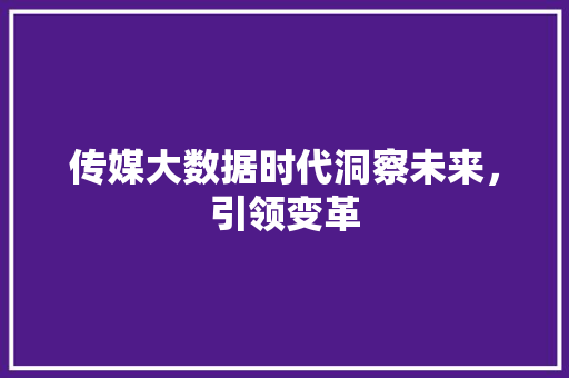 传媒大数据时代洞察未来，引领变革  第1张