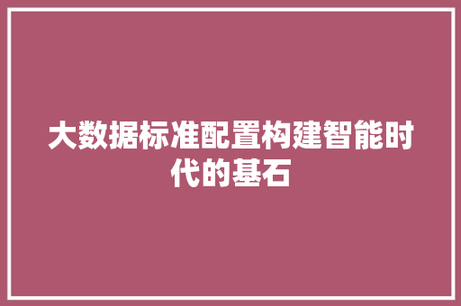 大数据标准配置构建智能时代的基石