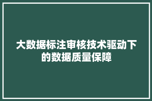 大数据标注审核技术驱动下的数据质量保障