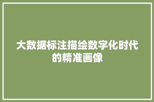 大数据标注描绘数字化时代的精准画像  第1张