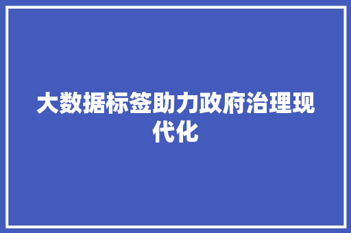 大数据标签助力政府治理现代化  第1张