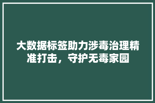 大数据标签助力涉毒治理精准打击，守护无毒家园  第1张
