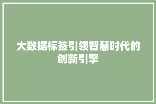 大数据标签引领智慧时代的创新引擎