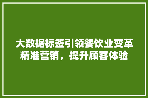 大数据标签引领餐饮业变革精准营销，提升顾客体验  第1张