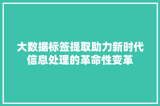 大数据标签提取助力新时代信息处理的革命性变革