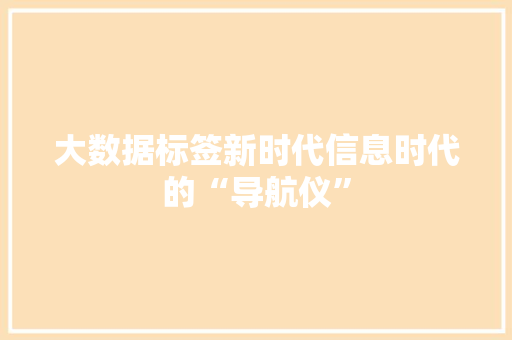 大数据标签新时代信息时代的“导航仪”