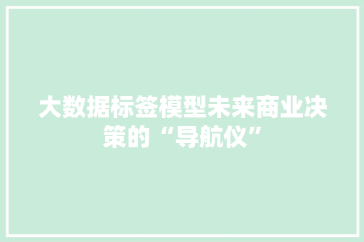 大数据标签模型未来商业决策的“导航仪”