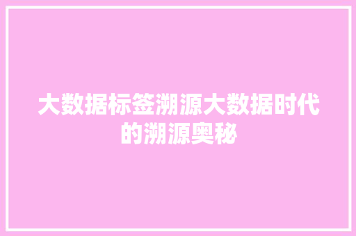 大数据标签溯源大数据时代的溯源奥秘  第1张