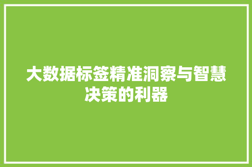 大数据标签精准洞察与智慧决策的利器