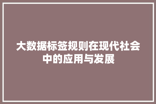 大数据标签规则在现代社会中的应用与发展
