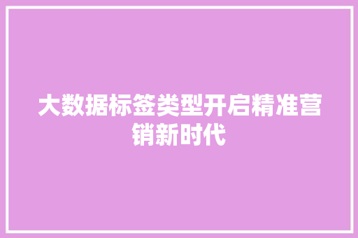 大数据标签类型开启精准营销新时代  第1张