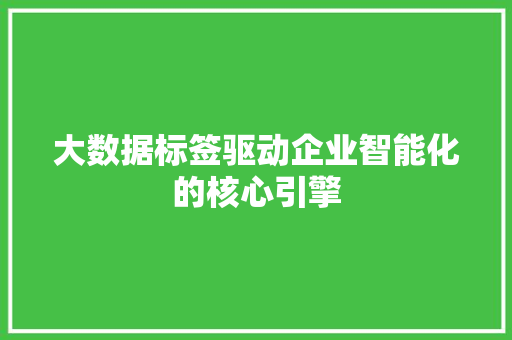 大数据标签驱动企业智能化的核心引擎