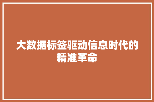 大数据标签驱动信息时代的精准革命  第1张