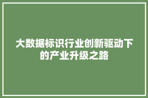 大数据标识行业创新驱动下的产业升级之路  第1张
