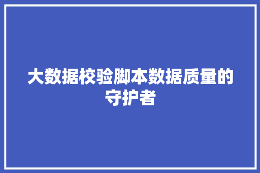 大数据校验脚本数据质量的守护者