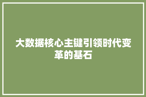 大数据核心主键引领时代变革的基石  第1张