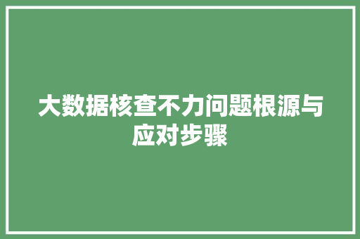 大数据核查不力问题根源与应对步骤
