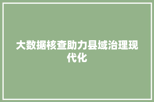 大数据核查助力县域治理现代化
