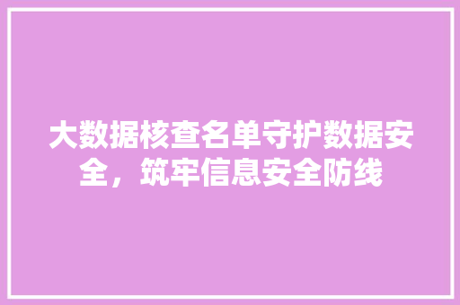 大数据核查名单守护数据安全，筑牢信息安全防线