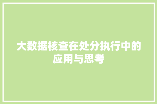 大数据核查在处分执行中的应用与思考  第1张