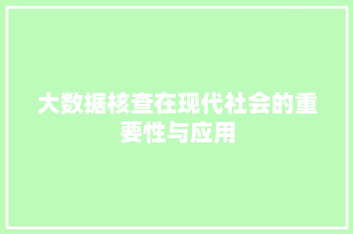 大数据核查在现代社会的重要性与应用