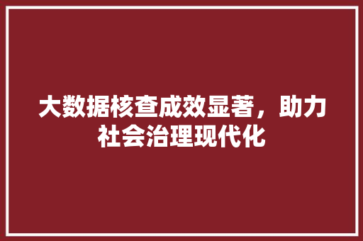 大数据核查成效显著，助力社会治理现代化