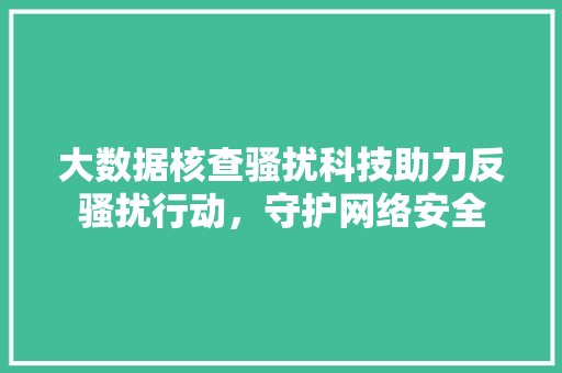 大数据核查骚扰科技助力反骚扰行动，守护网络安全